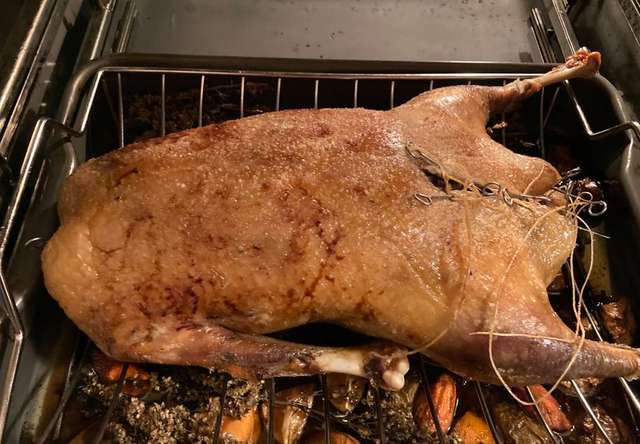Fertig gegarter Gänsebraten auf dem Rost